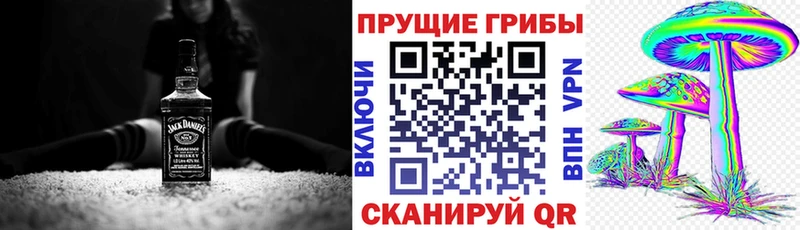 гидра ссылка  Струнино  Псилоцибиновые грибы Psilocybe 